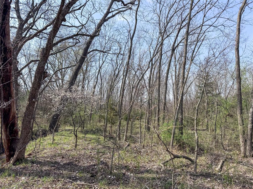Highway 48 Property Photo 32