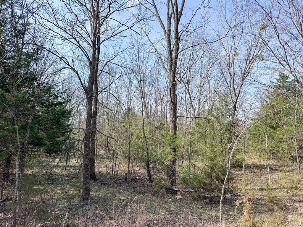 Highway 48 Property Photo 33