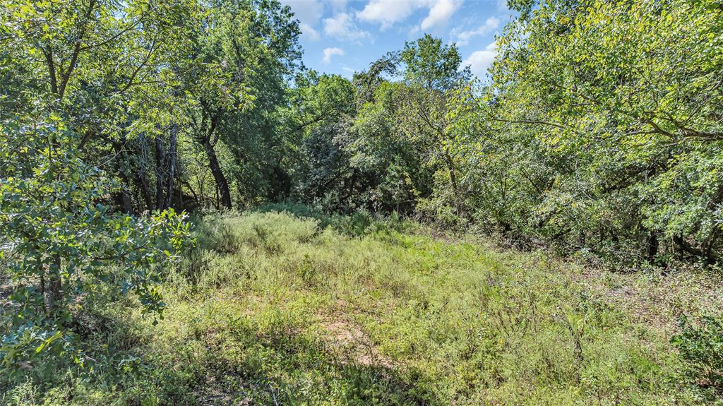 0 Asher Estates Lane Property Photo 9