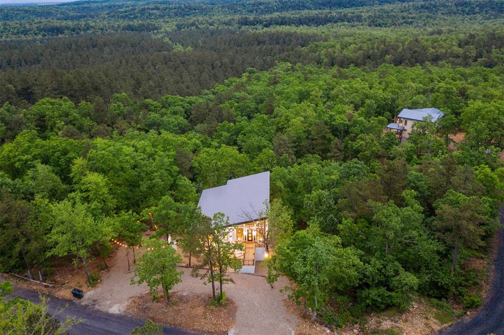 929 Carter Mountain Trail Property Photo 41