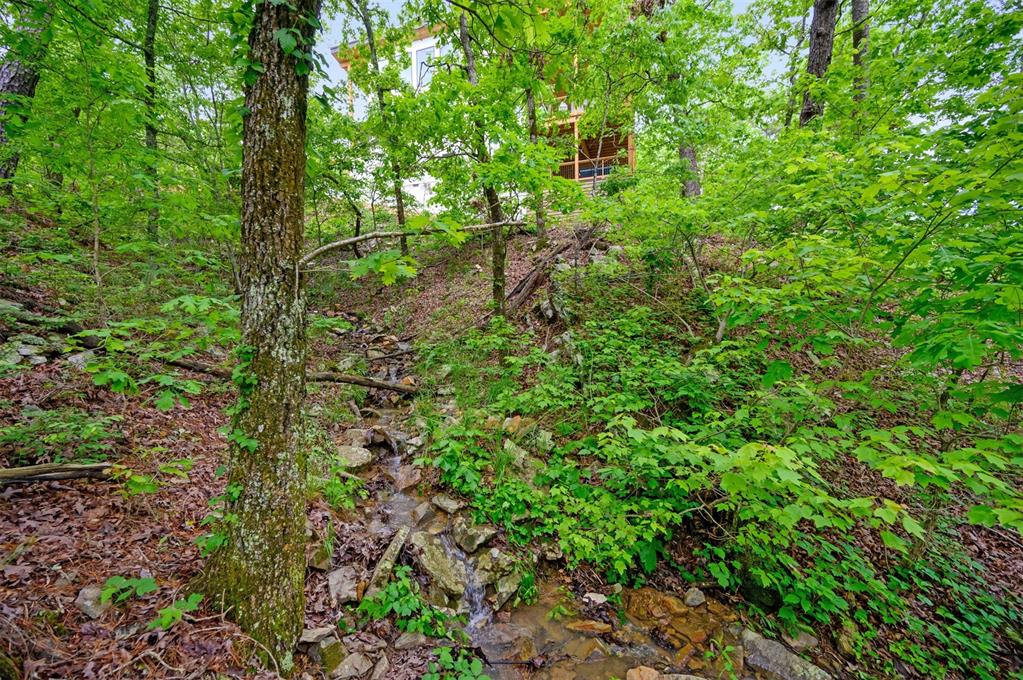 929 Carter Mountain Trail Property Photo 48