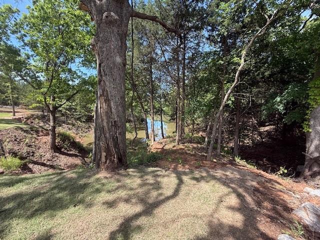 8126 Goldfinch Drive Property Photo 22