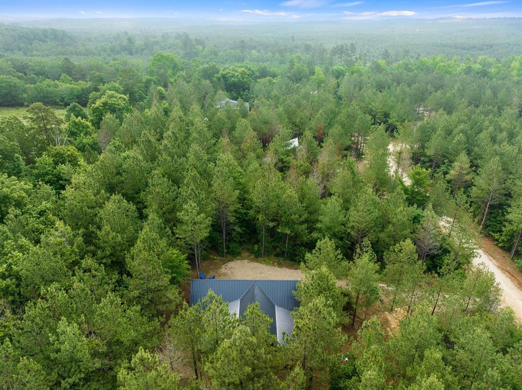 95 Shade Tree Trail Property Photo 30
