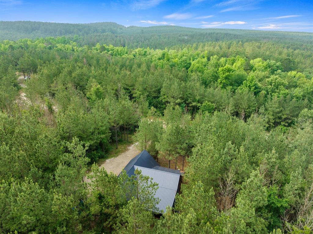 95 Shade Tree Trail Property Photo 31