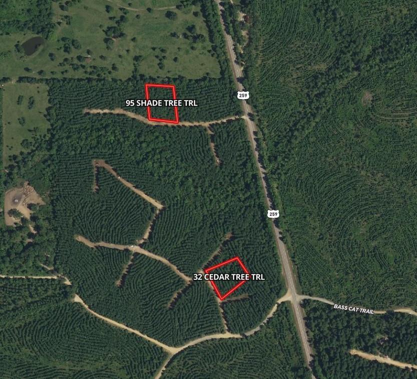 95 Shade Tree Trail Property Photo 32