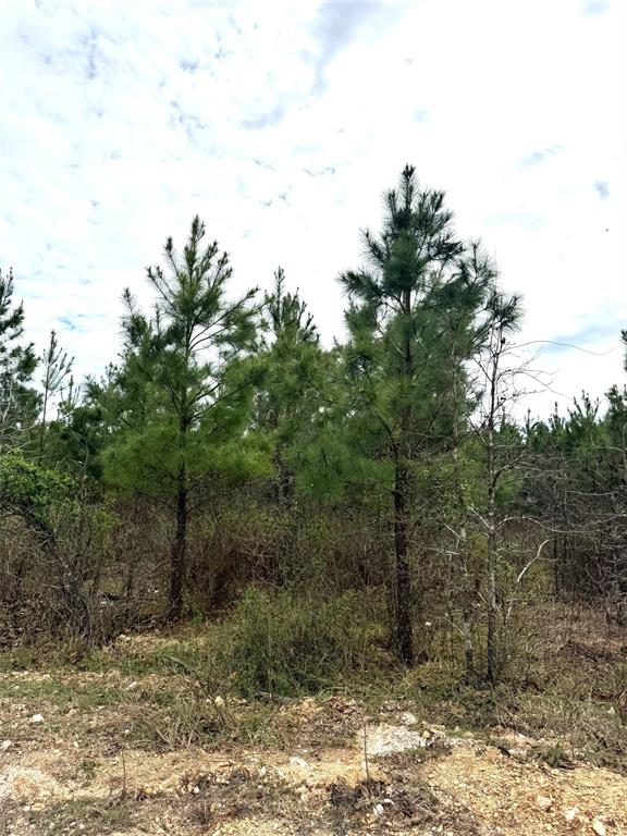 152 Southern Spruce Trail Property Photo