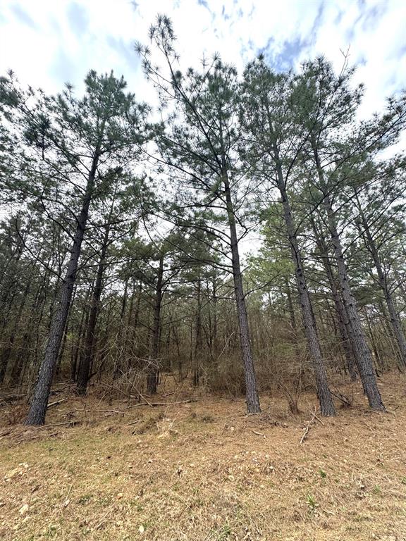 1292 Camp Ranch Road Property Photo
