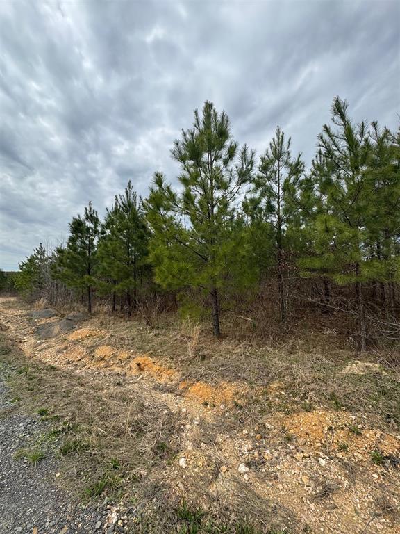 229 Southern Spruce Property Photo