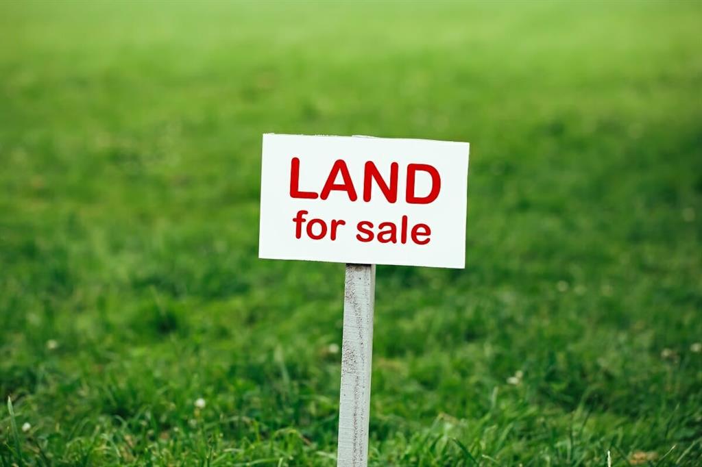 Lot 33, The Meadows Street Property Photo