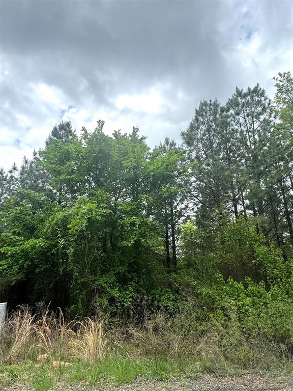 421 Lukfata Fork Trail Property Photo