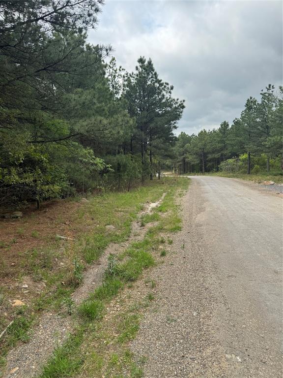 70 Bear Maple Trail Property Photo 1
