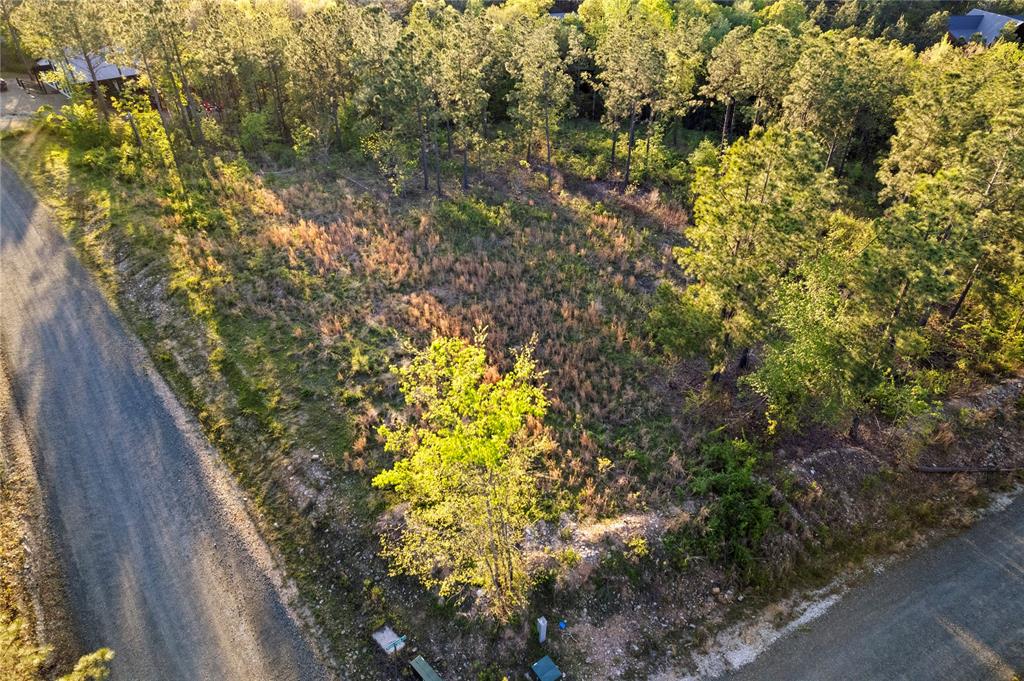 1239 Pine Seed Trail Property Photo