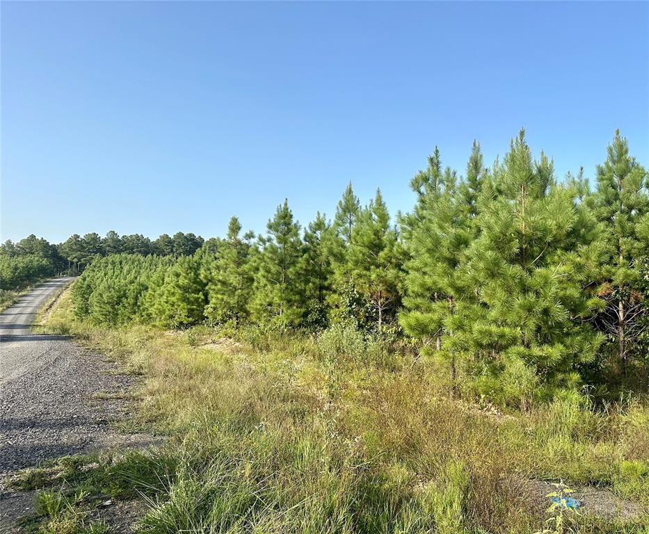 162 Red Holly Trail Property Photo 1