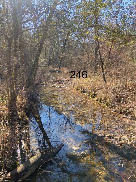 268 Green Olive Trail Property Photo 1