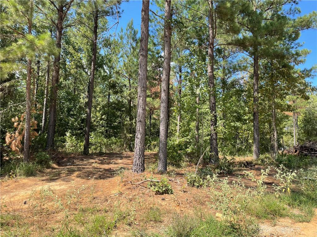 51 Cedar Hills Trail Property Photo 1