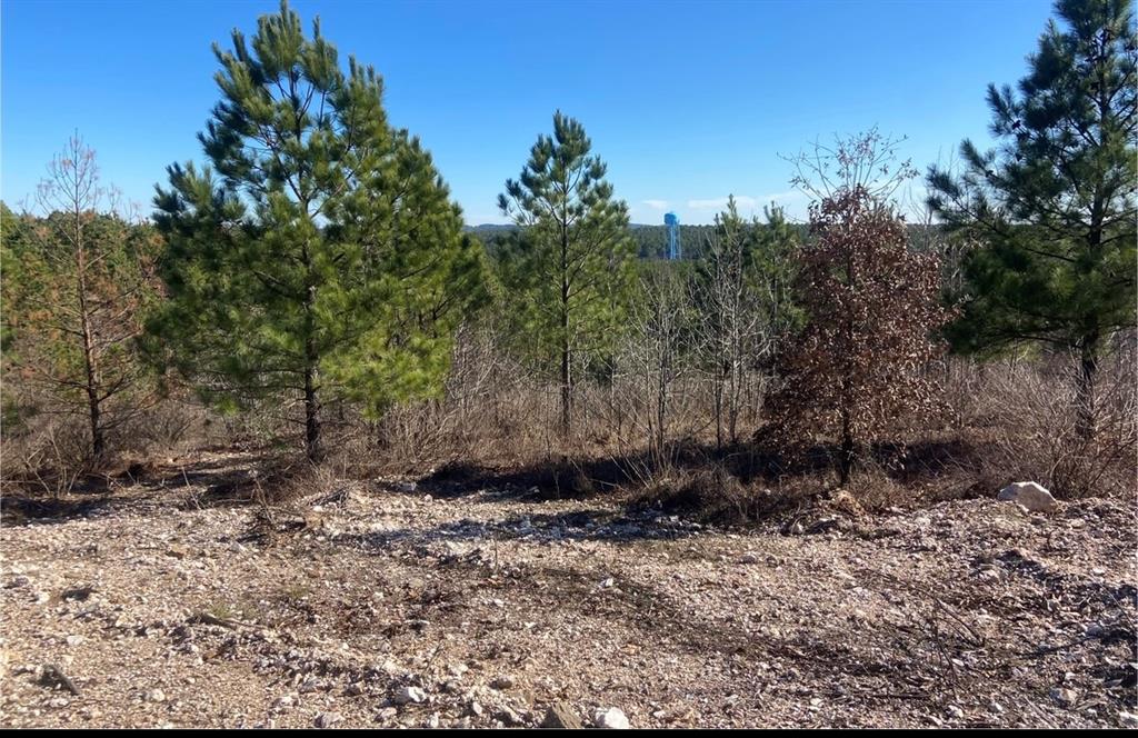 310 Kaisley Blue Eye Way Property Photo 1