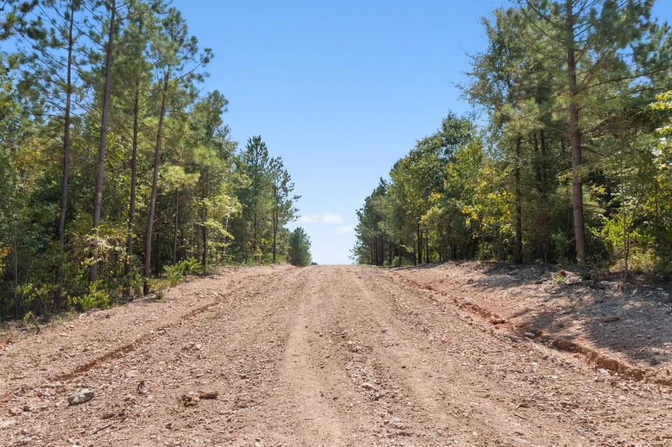 368 Kaisley Blue Eye Way Property Photo 1