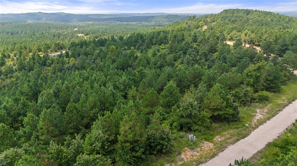 368 Kaisley Blue Eye Way Property Photo 3