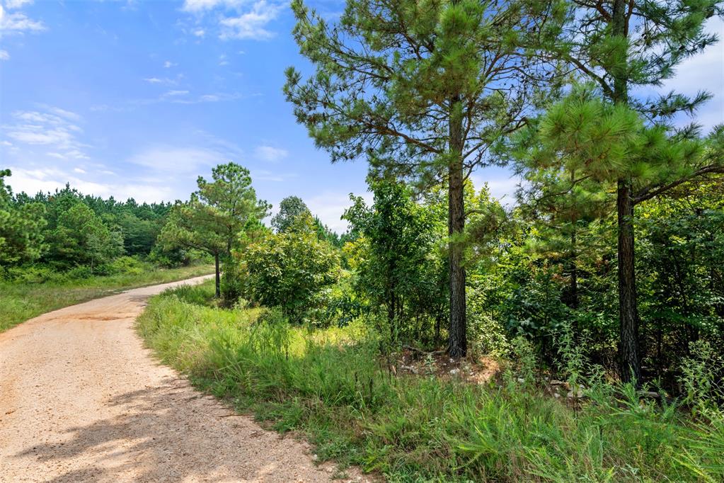 368 Kaisley Blue Eye Way Property Photo 4