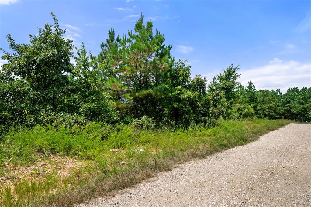 368 Kaisley Blue Eye Way Property Photo 5