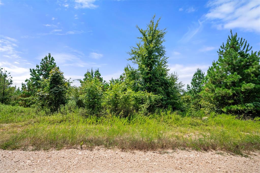 368 Kaisley Blue Eye Way Property Photo 6