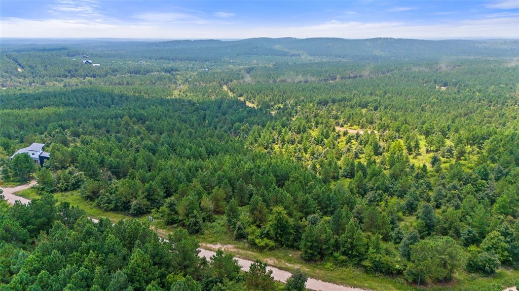 368 Kaisley Blue Eye Way Property Photo 7