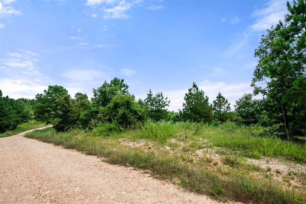 368 Kaisley Blue Eye Way Property Photo 11