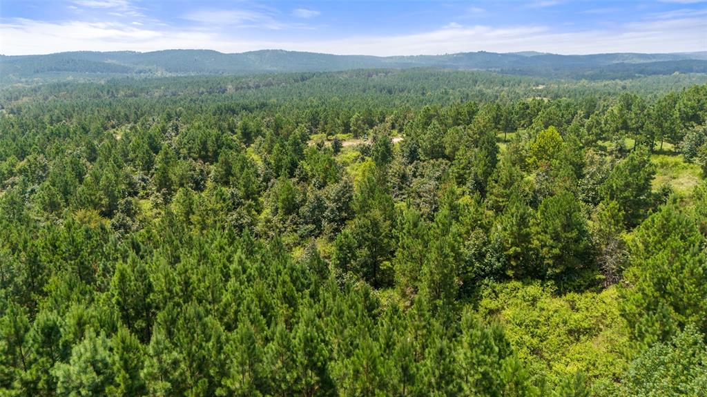 368 Kaisley Blue Eye Way Property Photo 12