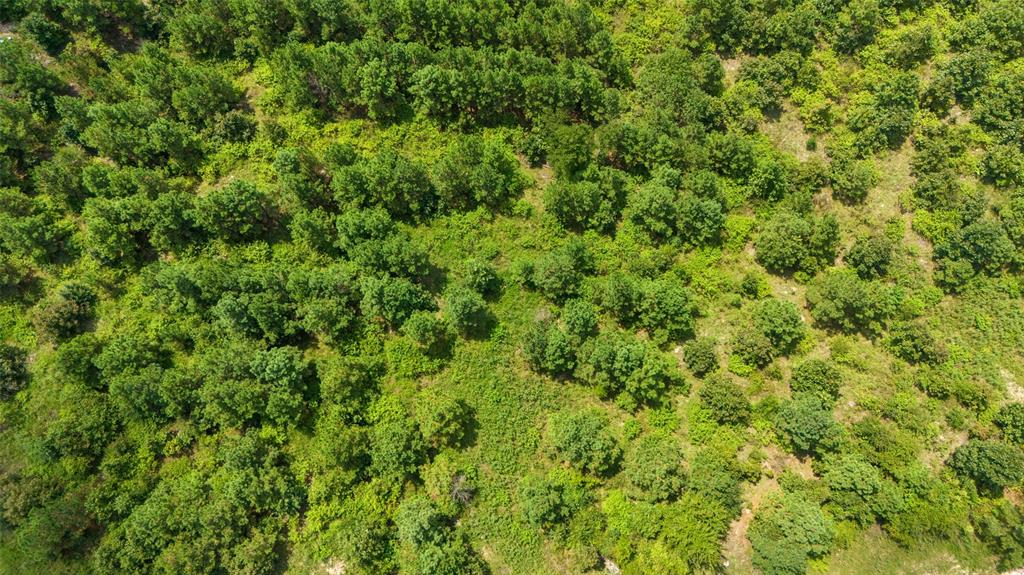368 Kaisley Blue Eye Way Property Photo 13