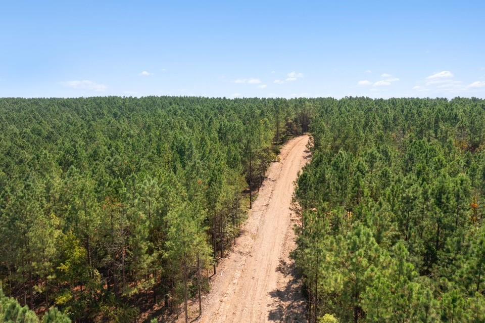 411 Kaisley Blue Eye Way Property Photo 1