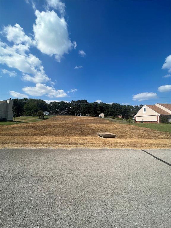119 W 119th Street Property Photo 1