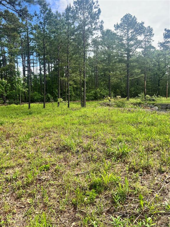 74 N Dana Bell Road Property Photo