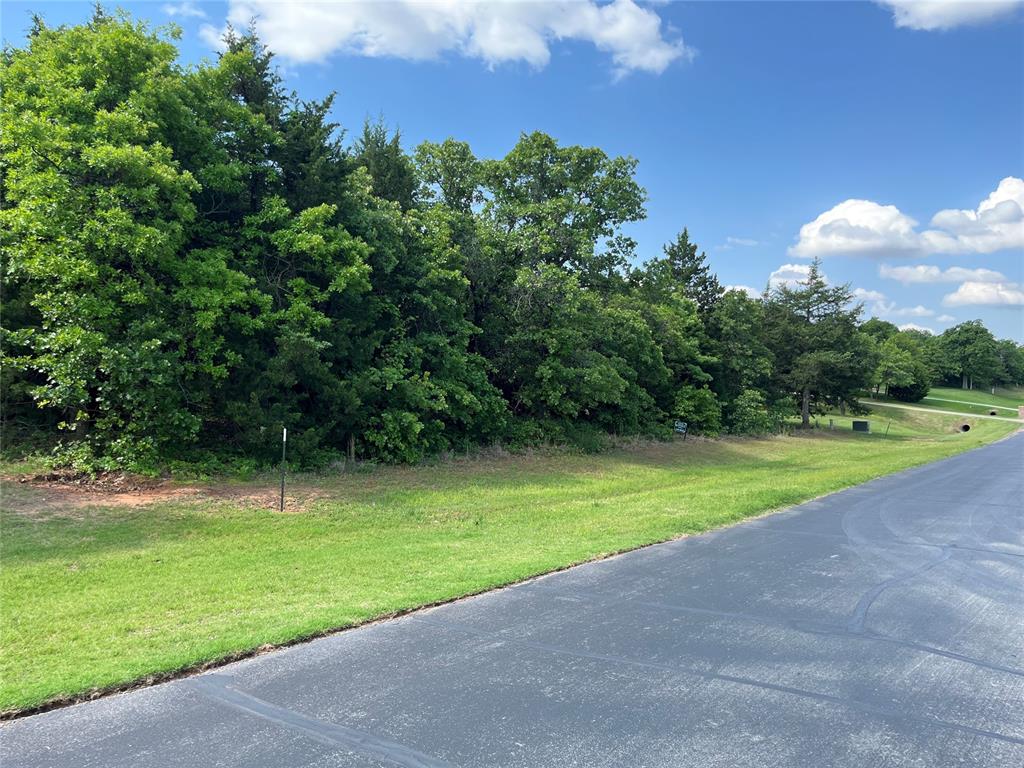 6624 Mystic Valley Drive Property Photo 1