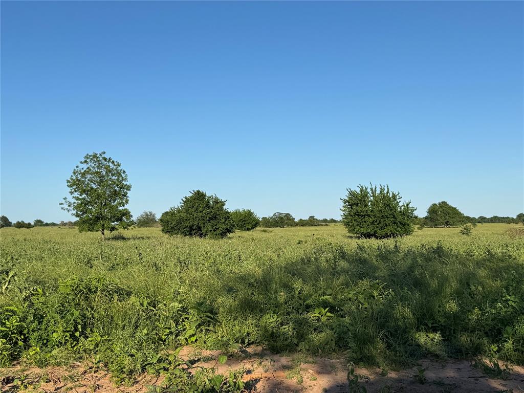 218 N 4150 Road Property Photo 5