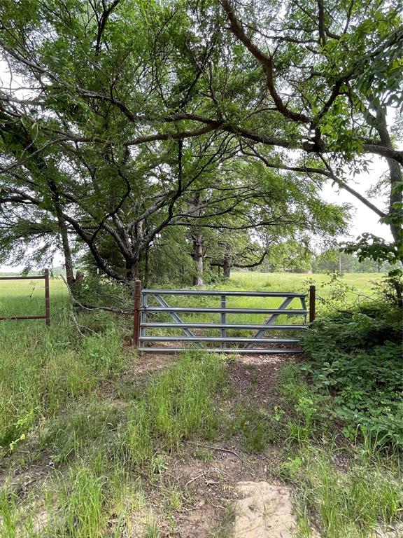 E County Road 1580 Road Property Photo 1