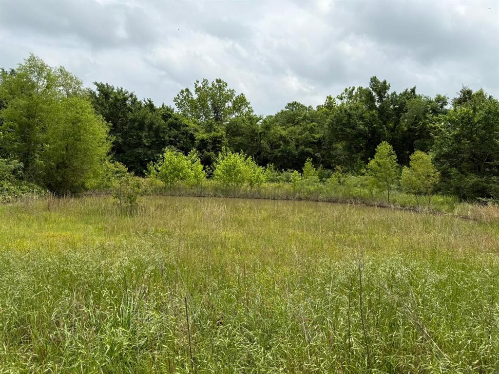 1850 Mcintosh Road Property Photo 3