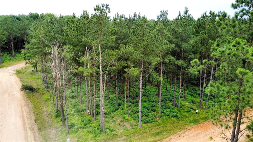 159 Pine Warbler Trail Property Photo 1