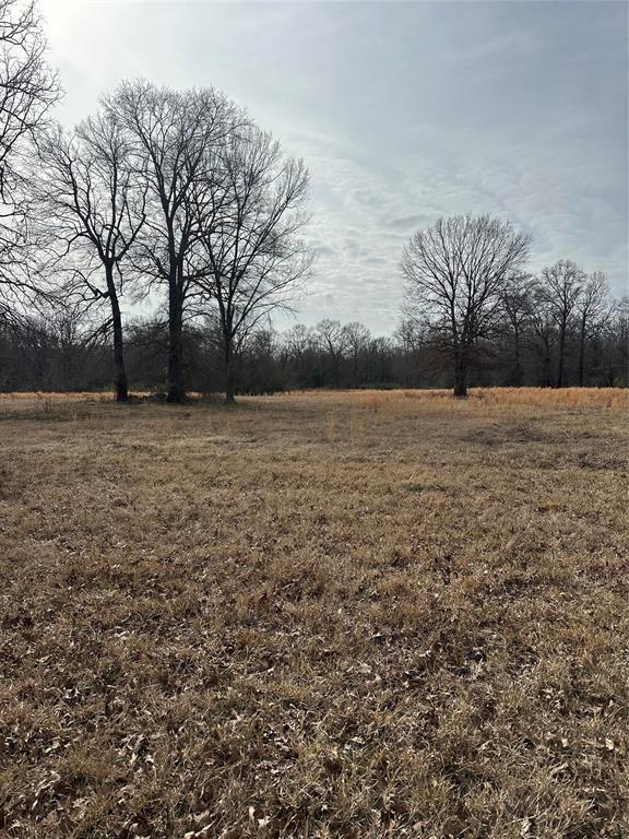 1231 Pleasant Hill Road