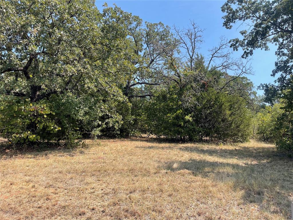 12600 Mourning Dove Drive Property Photo