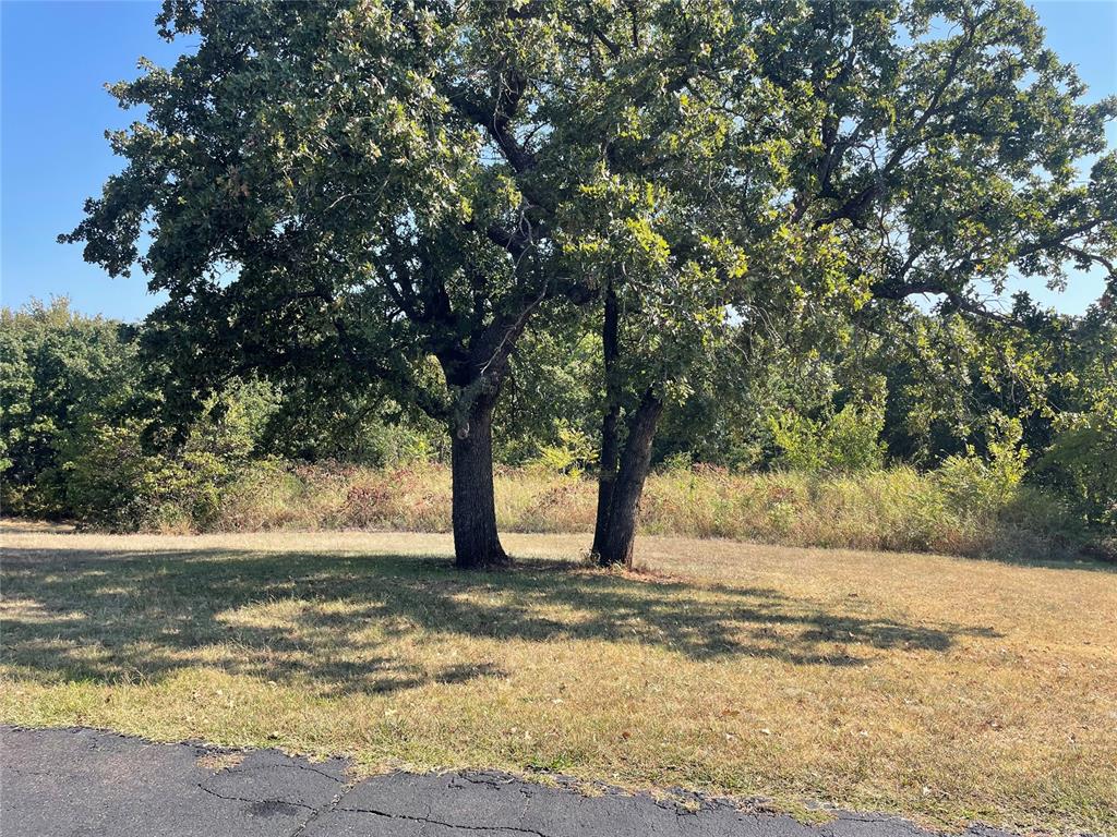 12800 Blue Quail Drive Property Photo