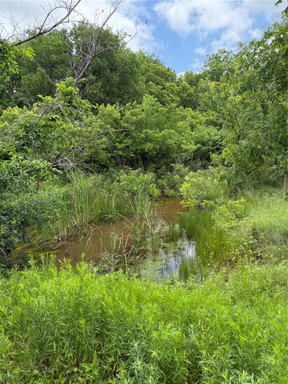 7701 N Brush Creek Road Property Photo 1