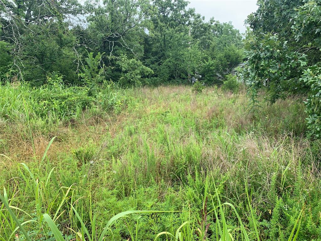 1175380 Property Photo 1