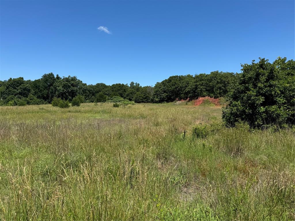 31915 New Hope Road Property Photo 1