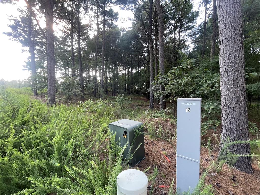 558 Scrub Oak Road Property Photo