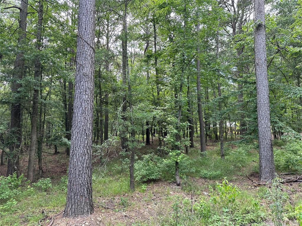 46 Lazy River Lane Property Photo