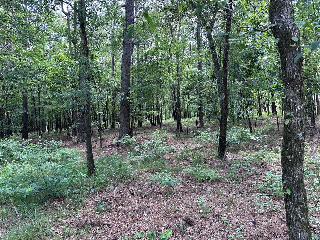 46 Lazy River Lane Property Photo 2