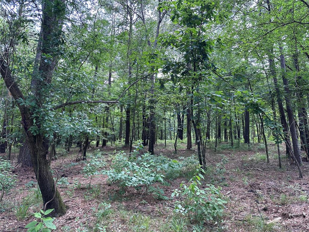 46 Lazy River Lane Property Photo 4