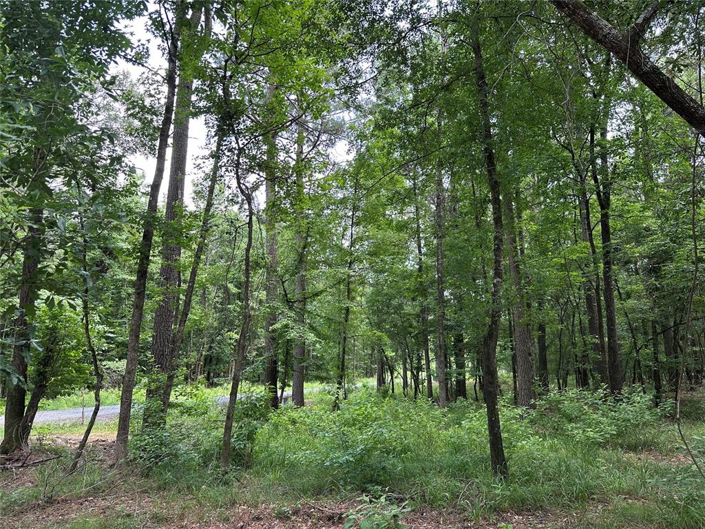 46 Lazy River Lane Property Photo 5
