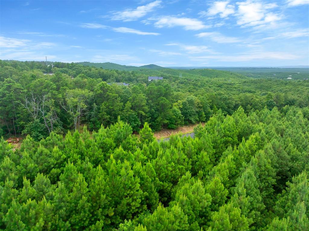 234 Sierra Vista Trail Property Photo 5