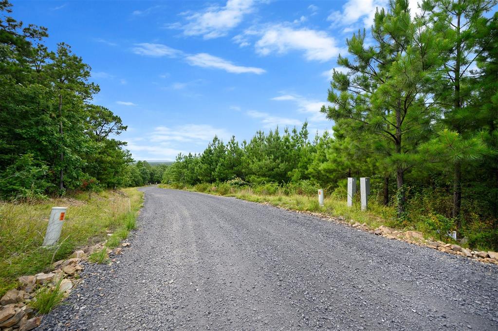 234 Sierra Vista Trail Property Photo 8